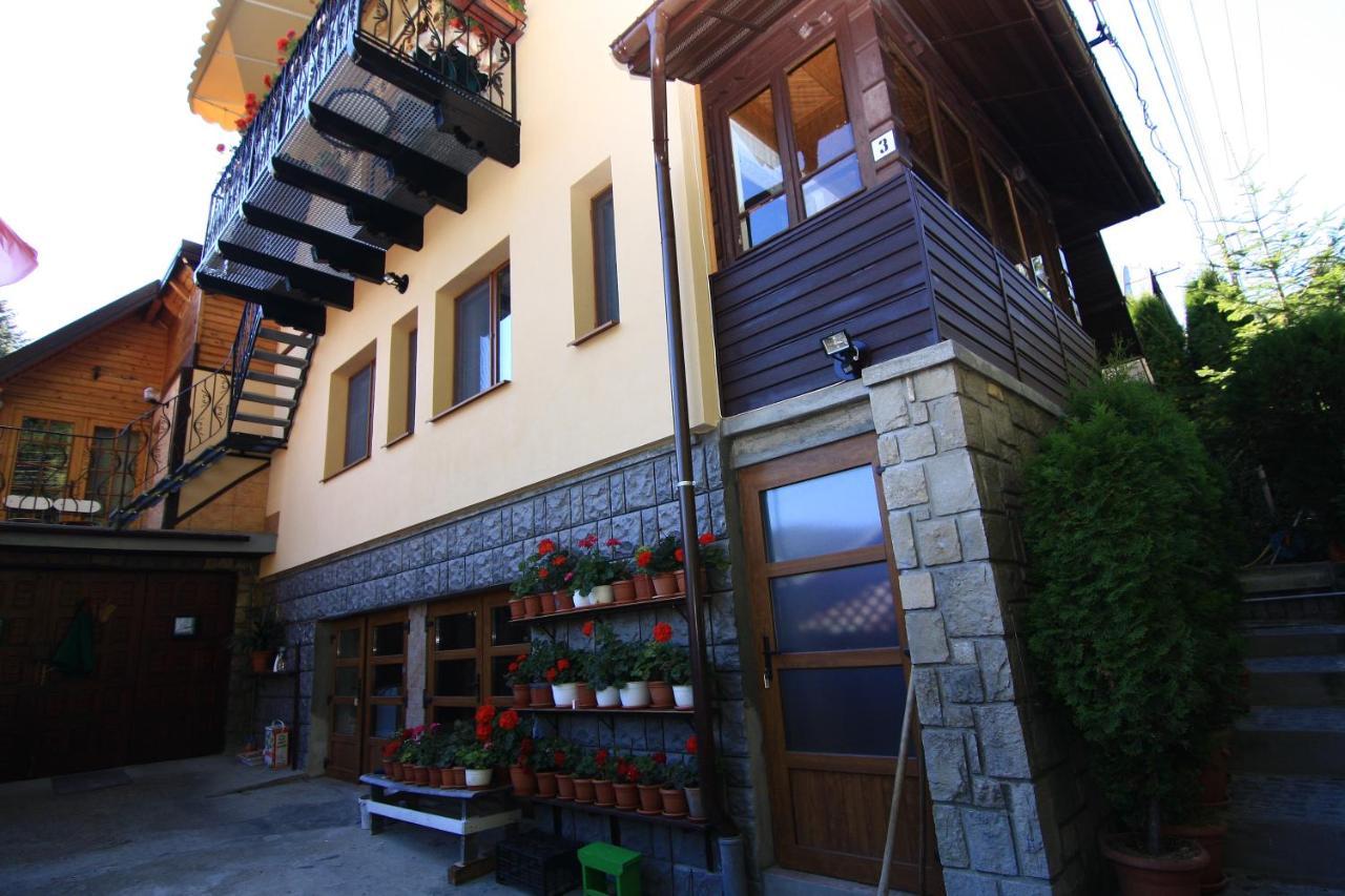 Casa Mikha Apartment Sinaia Exterior foto